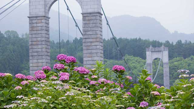 県立秦野戸川公園
